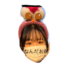 hikari_20221215154439