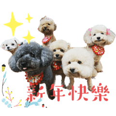 永遠的霍家七寶和新成員卡胖