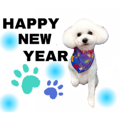 smile_20221215163329