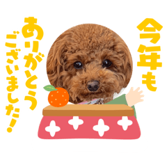 smilin_20221216083277