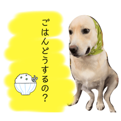 ruby_20221215175840