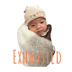 Nico-.-nicori20220909