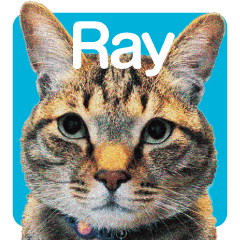 Ray's_Sticker