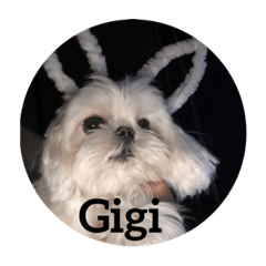 Gigi…