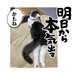 yuuko_20221215200106