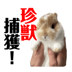 natsumi_20221215221539