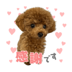 Peco_20221216123653