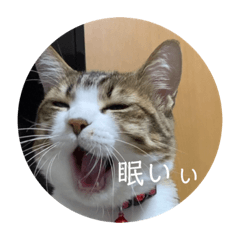 yuto_20221215221129