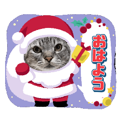 tomumama_20221217091107