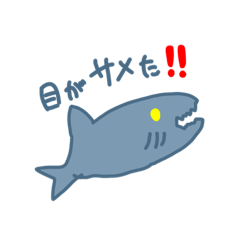 this is very cute Sea animala