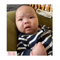 茉莉表情包2