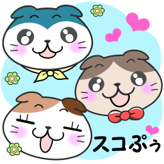 たれ耳にゃんこのスコぷぅ