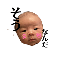 shioringo_20221216164655