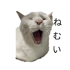 ohagi_20221216173038