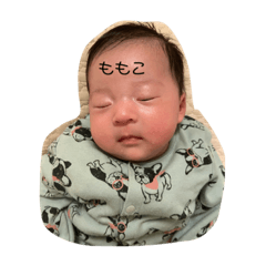 ruru_20221217004348