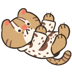 SU the leopard kitty