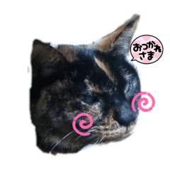 MIZUKI_20221216214643