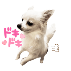 YOSHI-HAPPY_20221217095034