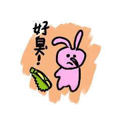 水果兔兔