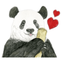 クリスタルアート　Panda Design Stamps