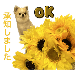 misa_20221217163017