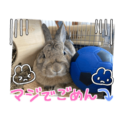tommy_10199