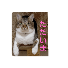misa_20221217165505