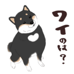 Shiba inu is cool(BLACK)