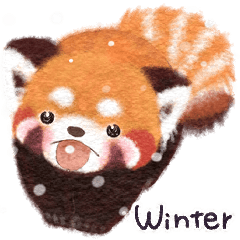 Red panda Pohe / Winter / English