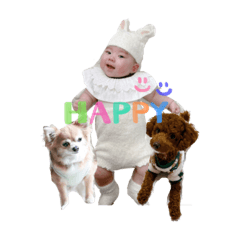 kinaco_20221218000438