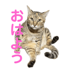 Aoi_20221217210907