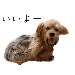 ruru_20221217213928
