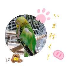 aono_20221218141056