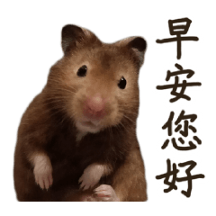 順一的日常