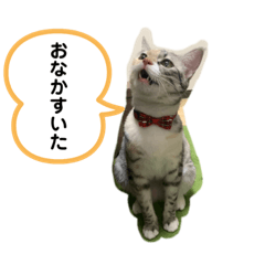 suzu_20221219043450
