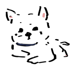 Westie dog Toto