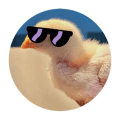 雞雞的美妙生態