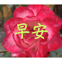 早安午安晚安問候6