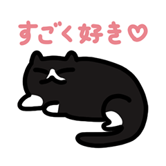 Miao Miao Black Cat Daily