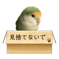 Yuka_20221218171351