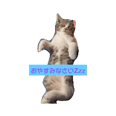 saori_20221218184129