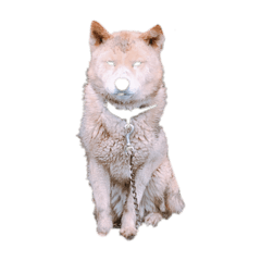 Hikari_20221218205106