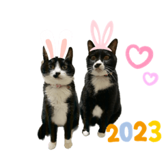 zizilili2