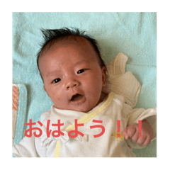 yukari_20221219113844