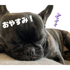 aoi_20221219051024