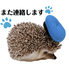 SAORI_20221219132341