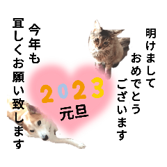tomomi_20221219103315