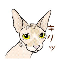 Pet diary takana