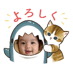 aaariii_20221219155022