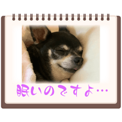 ruru0905
